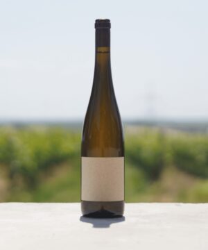 Blanko Sebastian Erbeldinger