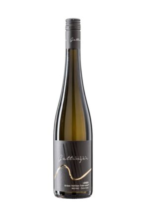 Simon Gattinger Grüner Veltliner Federspiel Loiben