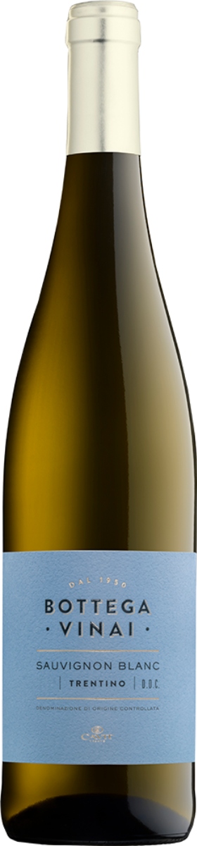 Bottega Vinai Sauvignon Blanc